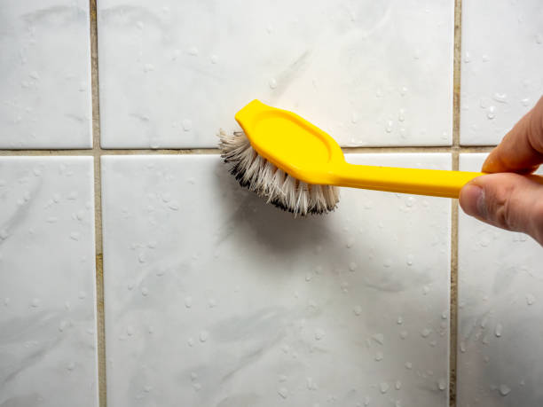 Best Mold Damage Repair  in Ridgefield, WA