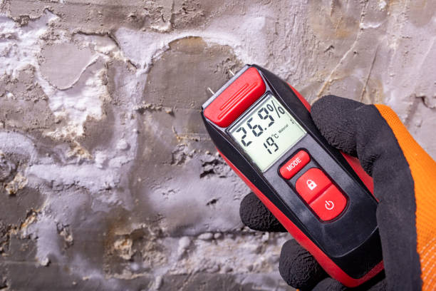 Best Black Mold Removal  in Ridgefield, WA