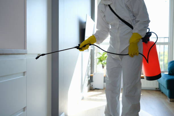 Crawl Space Mold Removal in Ridgefield, WA