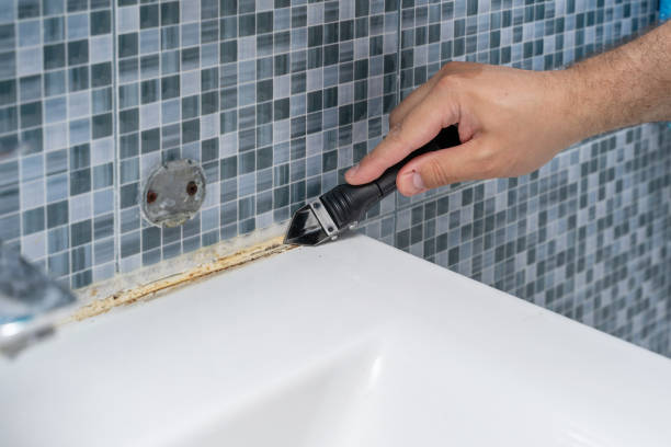 Best Mold Cleaning Services  in Ridgefield, WA